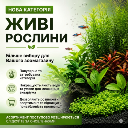 Нова категорія «Живі рослини»