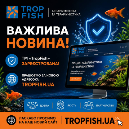 TropFish: реєстрація ТМ і новий сайт