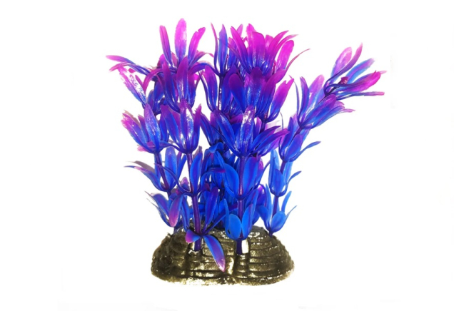 Растение для аквариума сине-фиолетовое Hygrophila BioDesign 6x5x10 см 