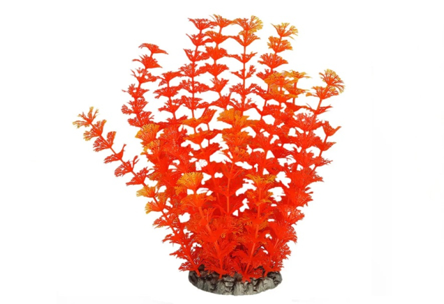 Растение для аквариума оранжевое Ambulia BioDesign 8x6x25 cm 