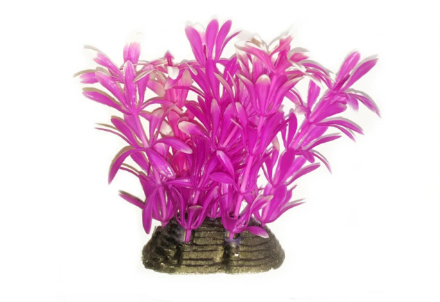 Растение для аквариума розовое Hygrophila BioDesign 6x5x10 см 