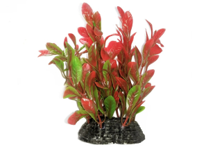 Рослина для акваріума червоно-зелена Ludwigia BioDesign 6x5x10 см