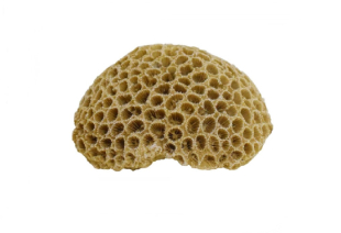 Декорація в акваріум Корали 10,8x9x5 см Nobby
