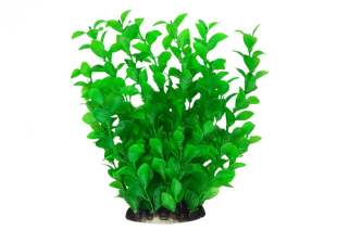 Рослина для акваріума зелена Ludwigia BioDesign 8x6x25 cm