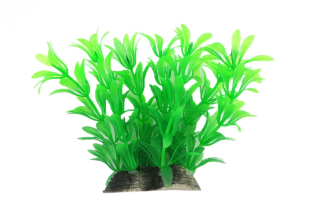 Рослина для акваріума зелена Hygrophila BioDesign 6x5x10 см